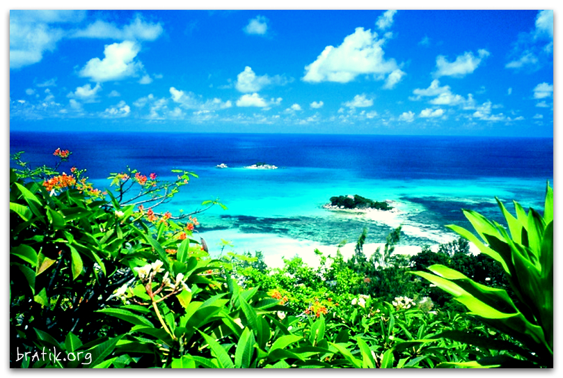 Сейшельские острова: рай на Земле., Сейшельские острова,отдых на островах,острова,туризм,отдых летом,куда поехать отдыхать летом,экзотический отдых,отпуск,курорты.