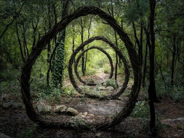 Творчество в загадочном лесу (10 Фото)