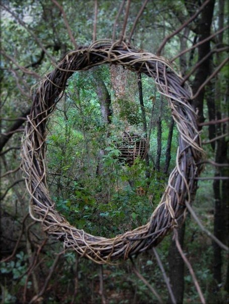 Творчество в загадочном лесу (10 Фото)